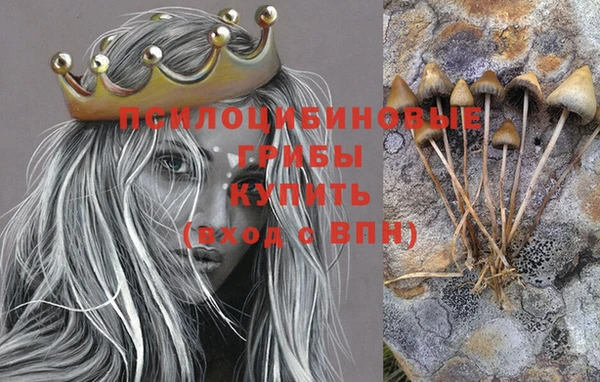 кокс Абаза