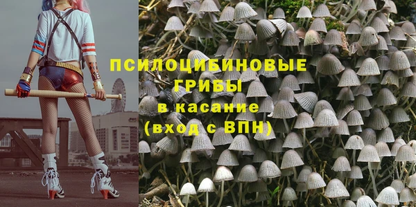 кокс Абаза